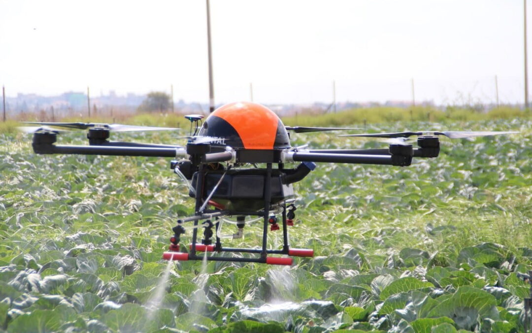 Sky Full of Machines: Who Really Controls the Industry?
