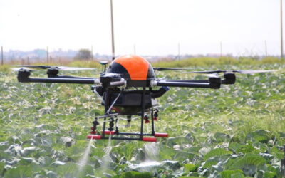 Sky Full of Machines: Who Really Controls the Industry?